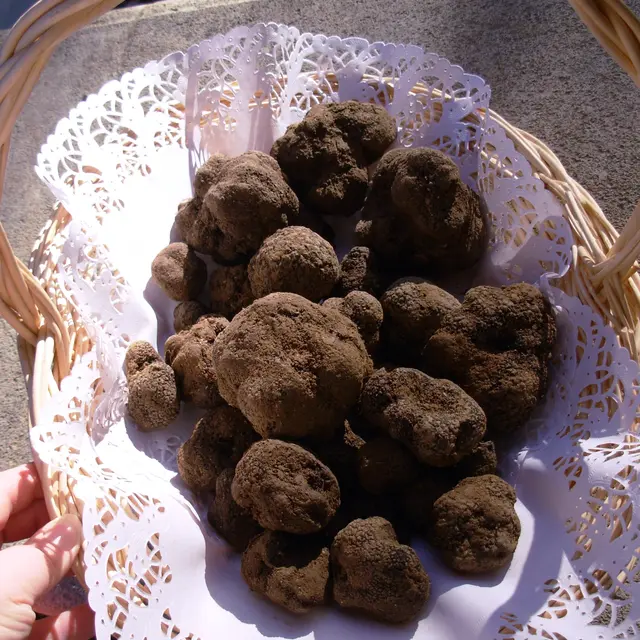 Truffes