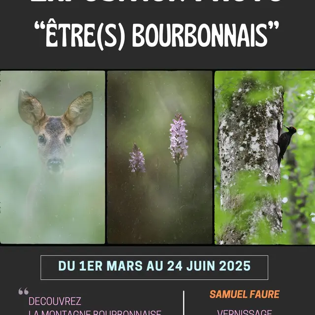 Exposition photo 
