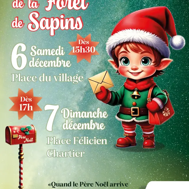 Illuminations de la forêt de sapins à Auriol_Auriol
