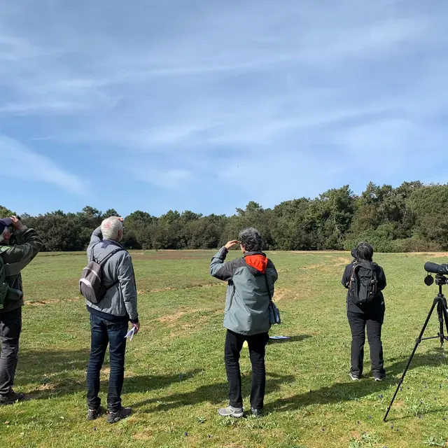 participants à la sortie Bois des évières en observation