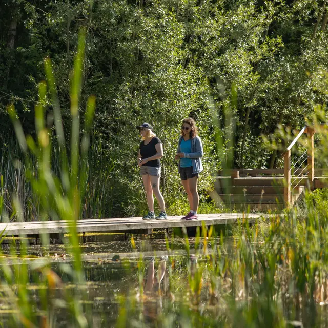 Sentier de randonnée - Ponts et moulins_Fillinges