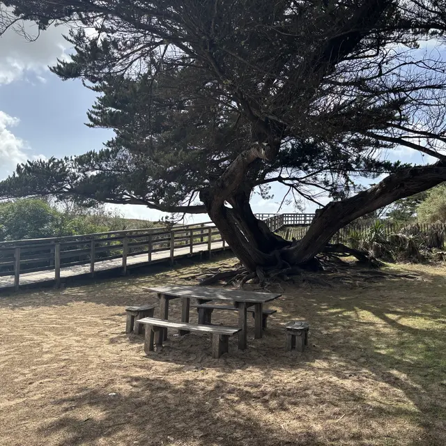Aire de pique-nique de la Plage des Gollandières_Le Bois-Plage-en-Ré