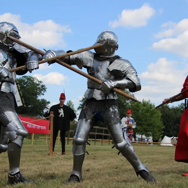 Le Tournoi de l'Ordre de Saint-Michel