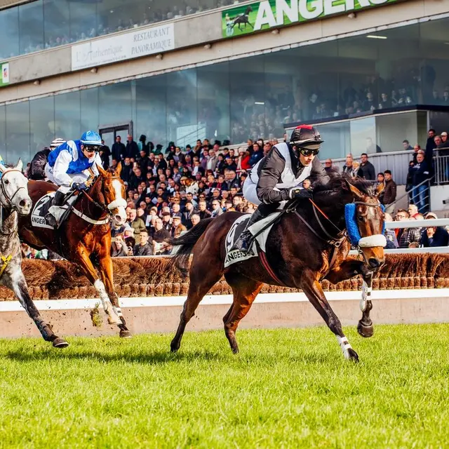 Découverte des coulisses de l'hippodrome d'Eventard
