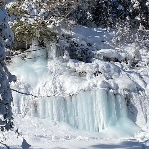 Circuit des cascades de glace, sur les trace du loup_Les Saisies