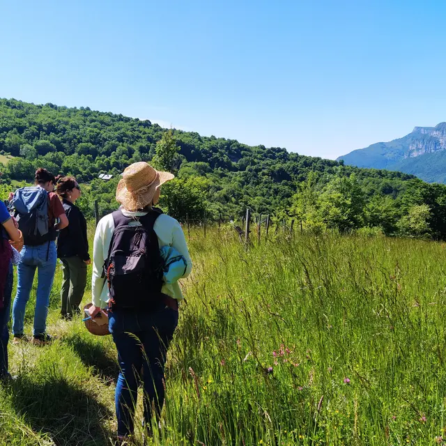 Balade découverte des plantes sauvages comestibles et médicinales près de Chambéry