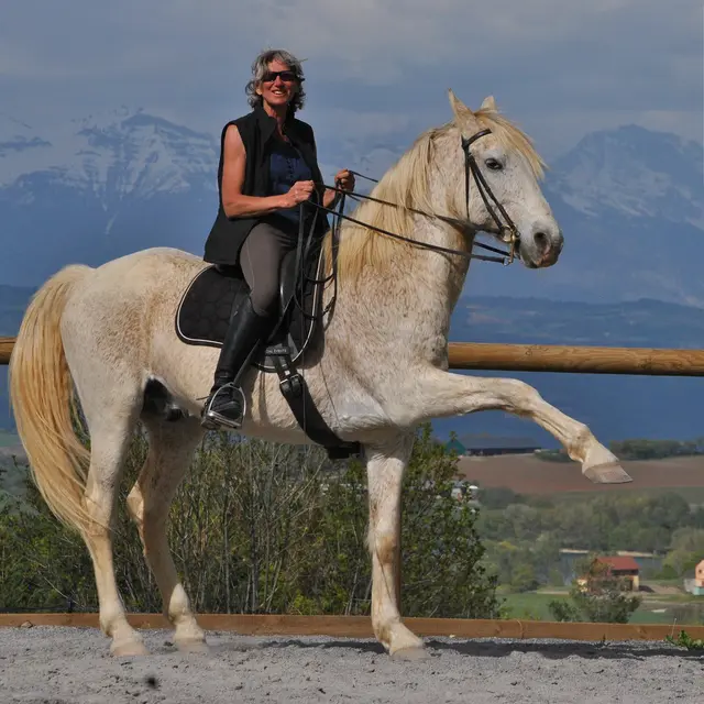 Pas espagnol pour l'étude du passage