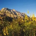 Réserve naturelle de Sainte Victoire