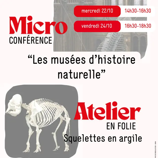Les Musées d'Histoire Naturelle_Cruseilles