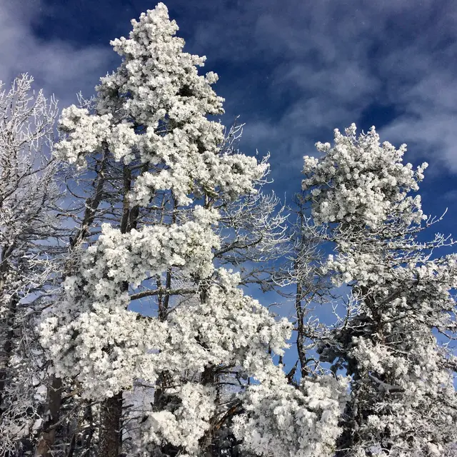 Regards d’Hiver : faune, neige, paysages_Gap