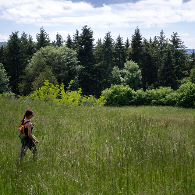 Randonnée à Châtel-Montagne