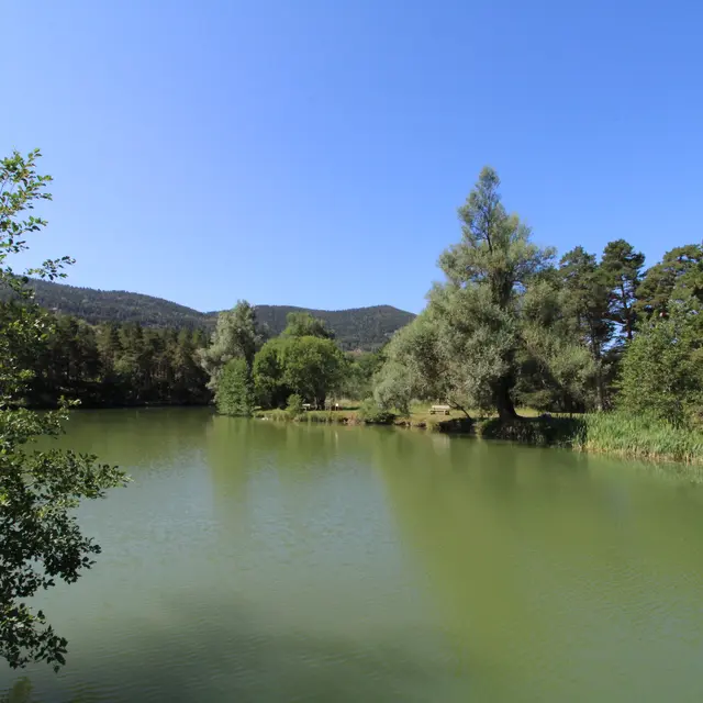 Lac de Thorenc_Andon