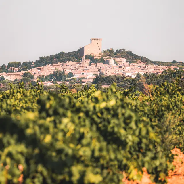 Journées du Patrimoine :   découverte de Châteauneuf-du-Pape,._Châteauneuf-du-Pape