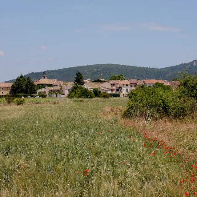 Randonnée dans le bois de Cavaillon, Garéoult