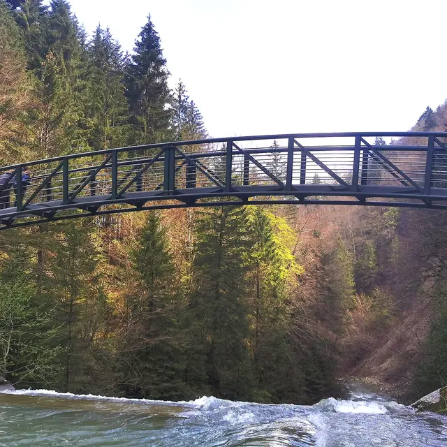 Parcours pêche, Le Brevon à Vailly_Vailly