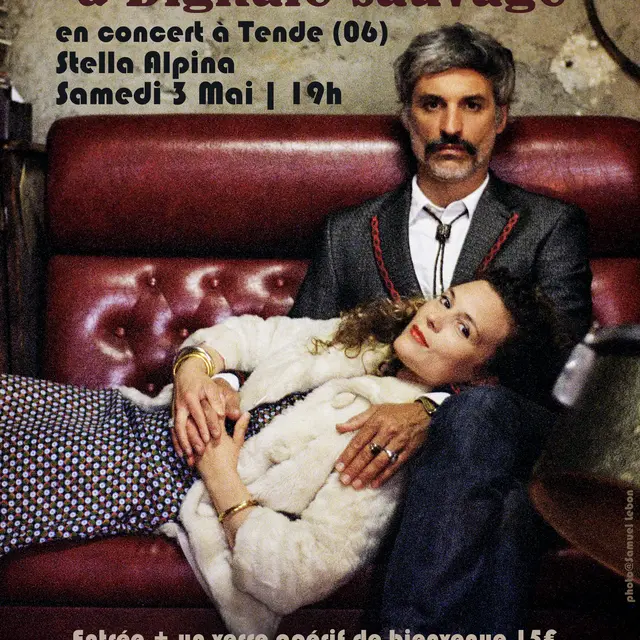Concert Sammy Decoster et Digitale Sauvage