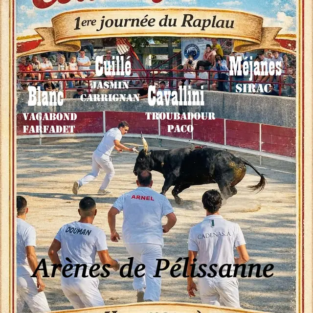 Course camarguaise : Course Avenir_Pélissanne