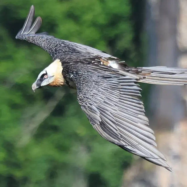 Exposition Lumières cévenoles