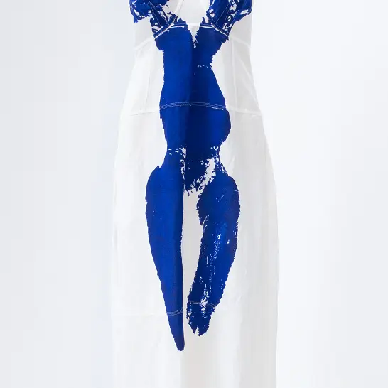 Robe Céline