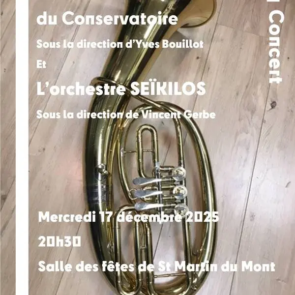 Affiche du concert