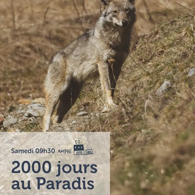 Festival Curieux Voyageurs : 2000 jours au paradis_Saint-Étienne