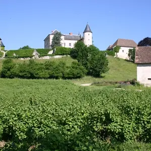 Chateau d'Andert-Condon