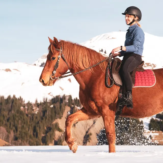 Balade à poney au Grand-Bornand