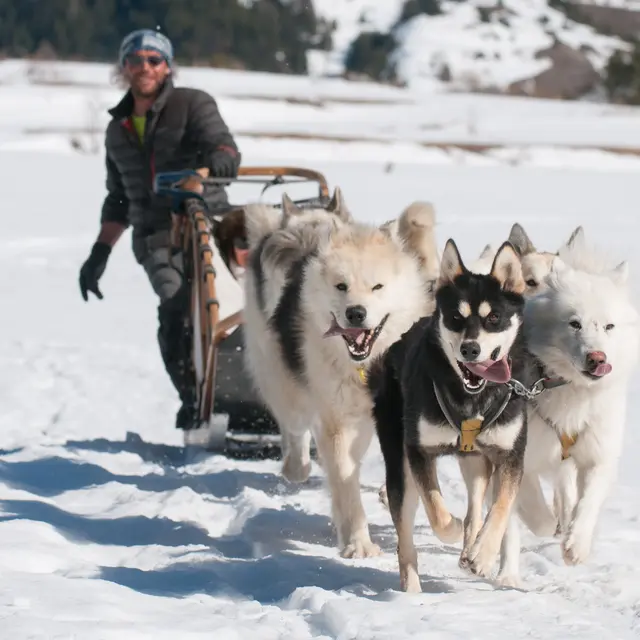 Cani-rando ou cani raquettes_Molines-en-Queyras