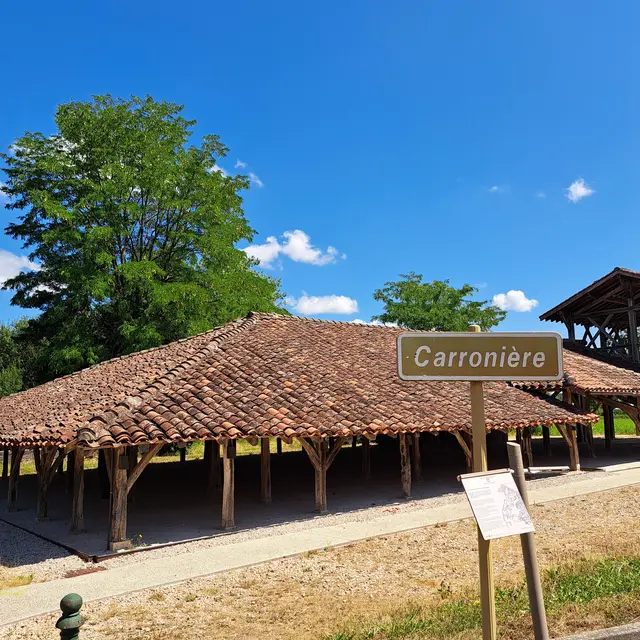 La carronnière - Saint-Trivier-de-Courtes