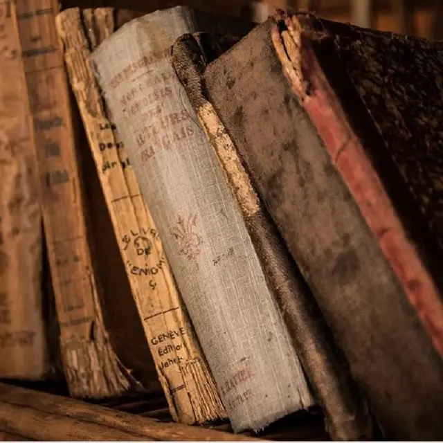 Antiquité Intemporel - Sanary-sur-Mer