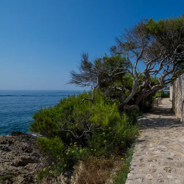 St hospice cap ferrat deals