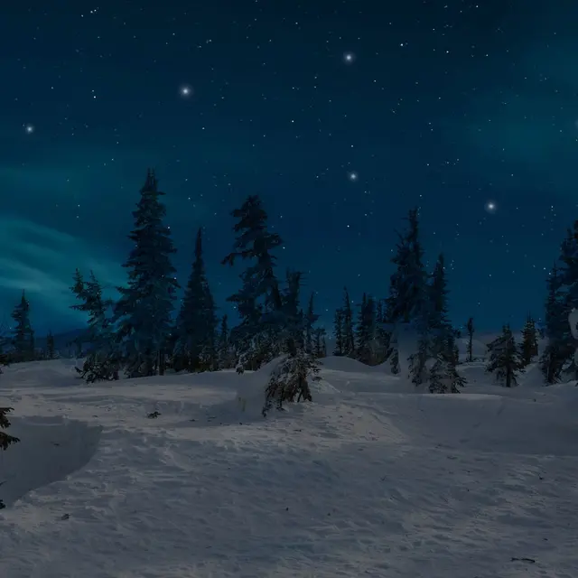 Marche neige nocturne