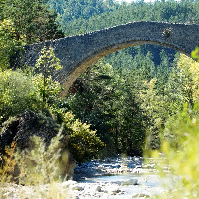 Pont de la Reine Jeanne