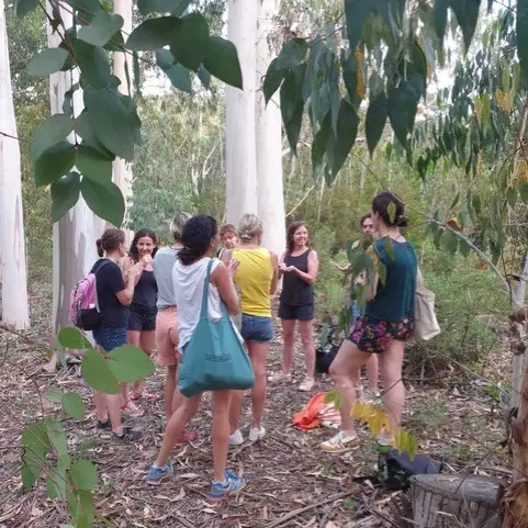 Medit & Sons_Bormes-les-Mimosas