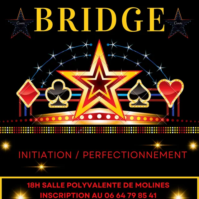Initiation/perfectionnement au bridge