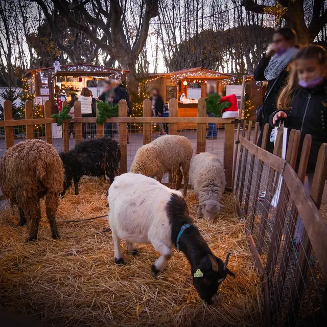 Mini ferme de Noël de Saint-Cyr-sur-Mer