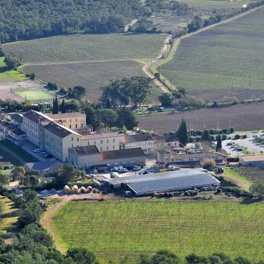 Domaine Le Songe de Don Bosco