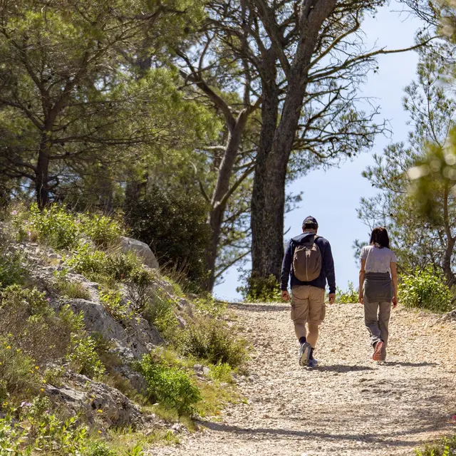 faron_sentier_OP_08_1