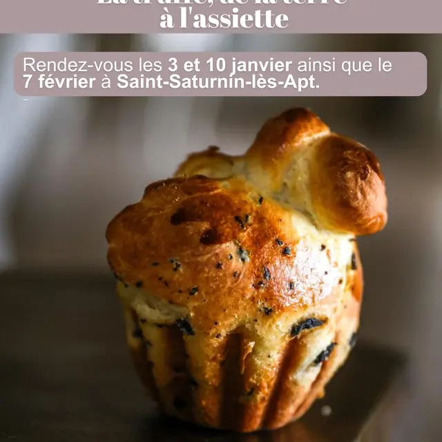 La truffe, de la terre à l'assiette_Saint-Saturnin-lès-Apt