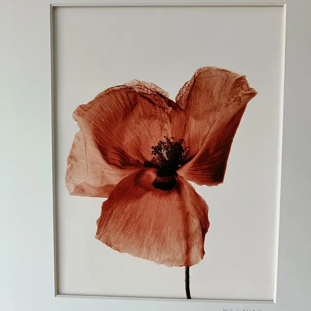 Exposition artistique