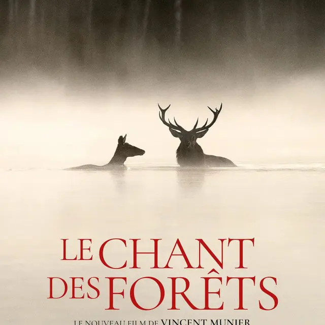 Séance de cinéma : Le Chant des forêts_Abondance