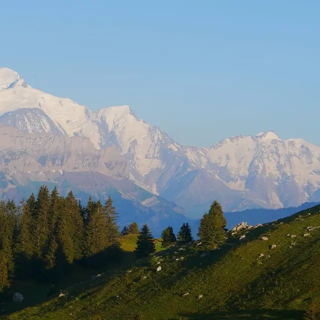 Point de vue sur le Mont Blanc