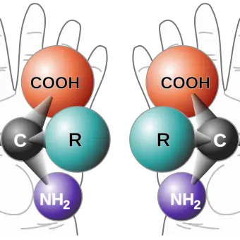 Café des sciences - Les molécules sont-elles de droite ou de gauche ?  Chiralité : de l’origine de la Vie à la vie quotidienne_Avignon