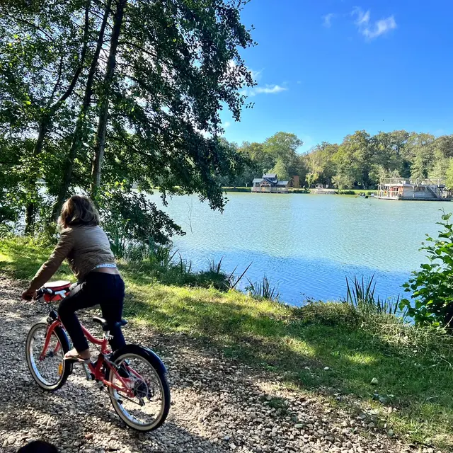 Location de VTT