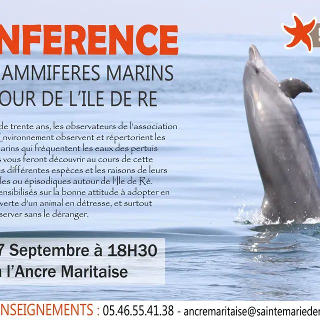 Conférence mammifères marins_Sainte-Marie-de-Ré