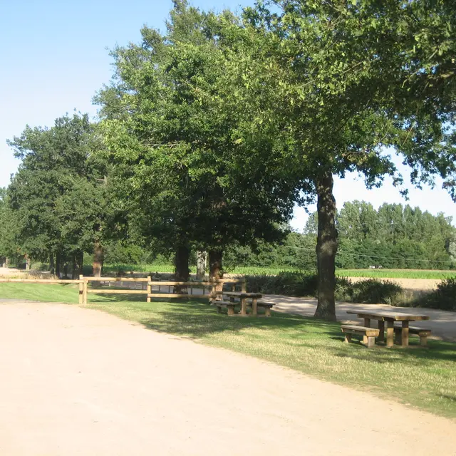 Table de pique nique