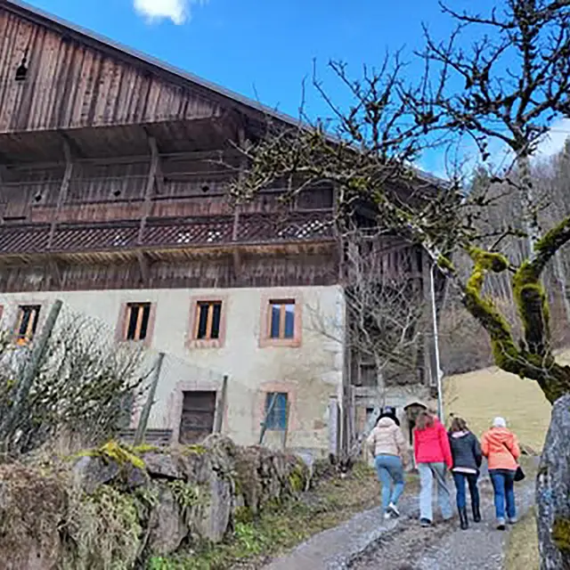 Journées du Patrimoine de Pays - Balade Branchée à Abondance_Abondance
