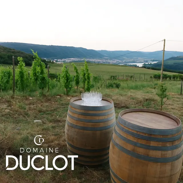 Apéro sunset dans les vignes (Domaine Duclot)_Sarras