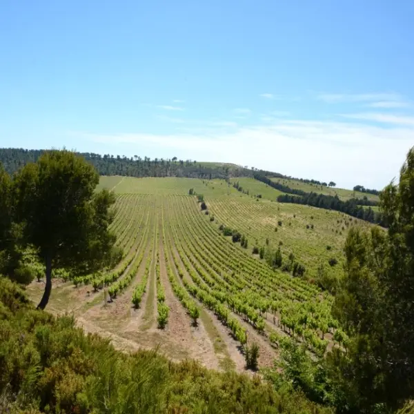 Château Beauferan - (c) Château Virant)