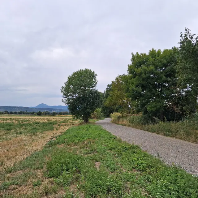 Coulée de l'Ambène_Enval